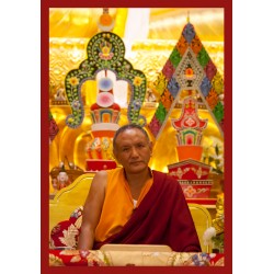 Orgyen Tobgyal Rinpoche Photos