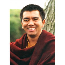 Dzogchen Rinpoche