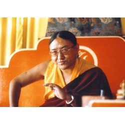 HH. Sakkya Trizin Londres