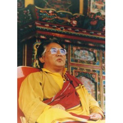 Sogyal Rinpoche Lerab Ling...