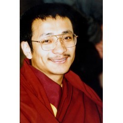Dzogchen Ponlop Rinpoche
