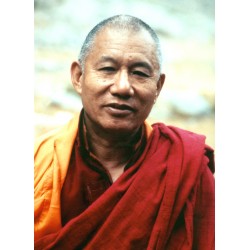 Dodrupchen Rinpoche