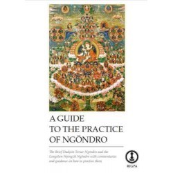 A Guide to the Practice of Ngöndro by Rigpa (digital)
