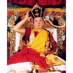 16ème Karmapa avec la coiffe