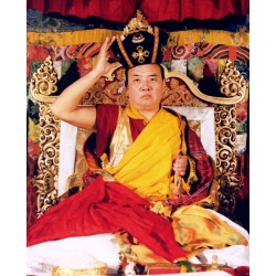 16th Karmapa with Hat melong