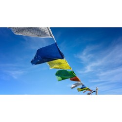 Drapeaux prière Tendrel Nyesel