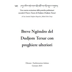 Dudjom Tersar Ngöndro con...