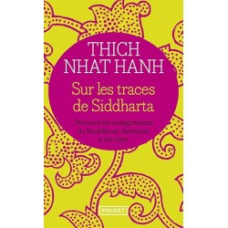 Sur les traces de Siddharta...