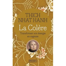 La colère: Transformer son...
